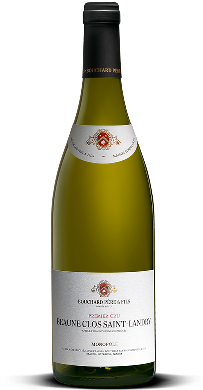 BEAUNE CLOS SAINT - LANDRY 2022