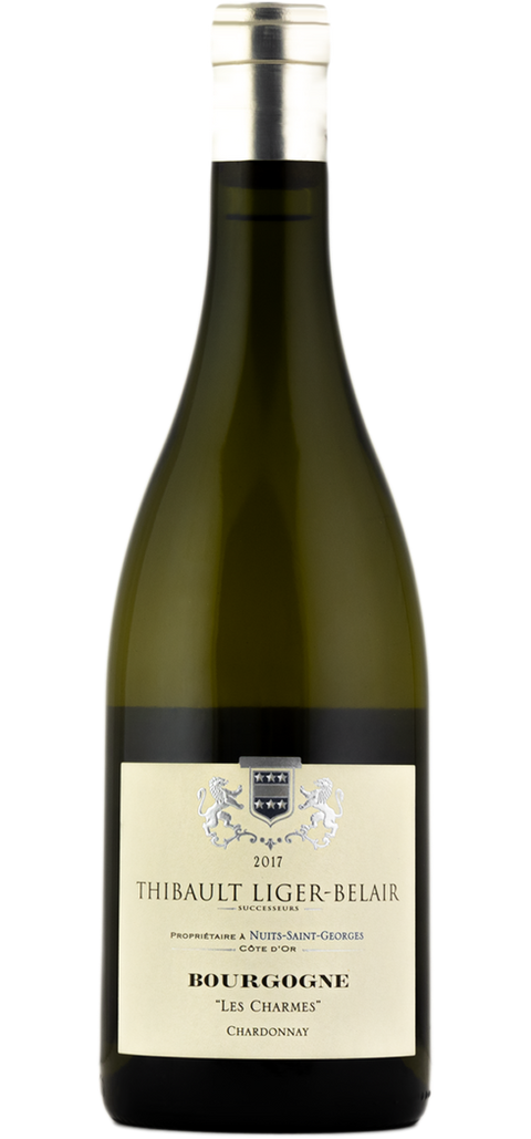 BOURGOGNE CHARDONNAY LES CHARMES 2022
