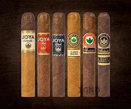 Joya de Nicaragua Robusto Sampler 6pc