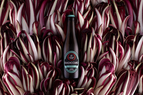 Radicchio Beer Cipriani