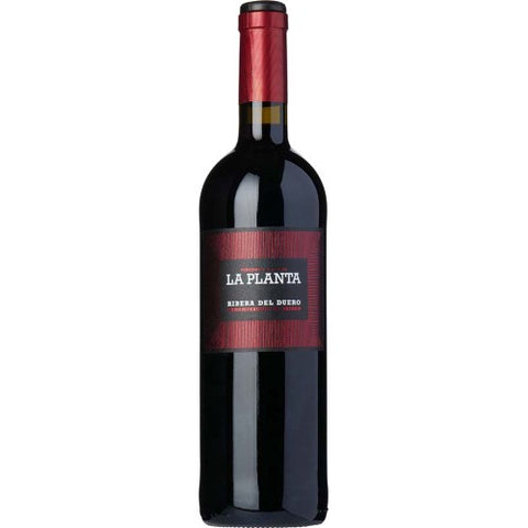 La Planta , Libera Del Duero